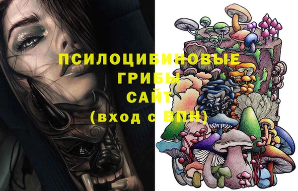 меф Алексин