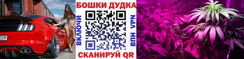 Бошки марихуана индика  где найти   Краснослободск 